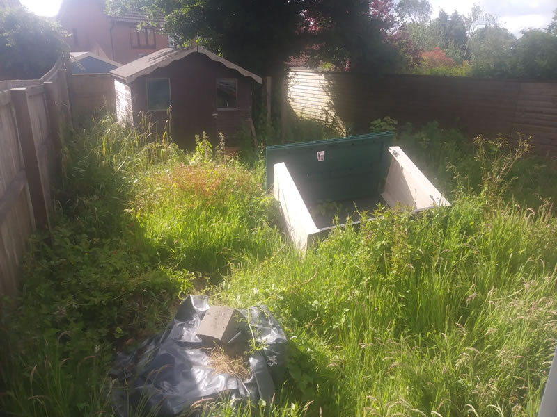 Overgrown Sketty garden with broken storage box in the middle